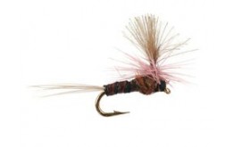 CDC Mini Blackbrown Parachute