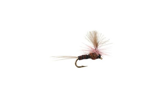 CDC Mini Blackbrown Parachute