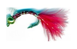 3D Glass Epoxy Bead Head Nymph Bloodworm Marabou