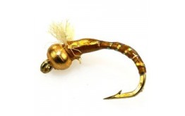 3D Glass Epoxy Bead Head Nymph Gold