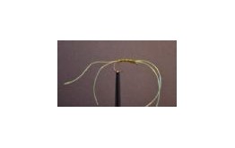 Apps Bloodworm   Flo Green