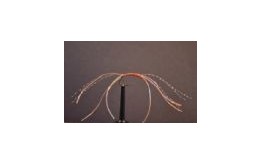 Apps Bloodworm   Shrimp Pink