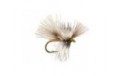 CDC Mini Cream Sedge
