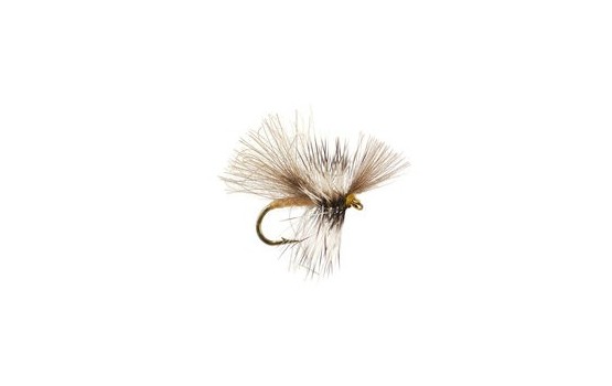 CDC Mini Cream Sedge