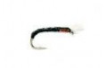 Big Fish Black Buzzer