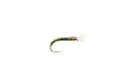 Big Fish Olive Buzzer