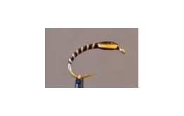 Black Stripped Quill Buzzer