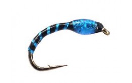 Blue Devil Holo Buzzer