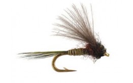 CDC Mini Olive Baetis