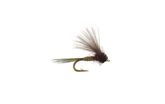 CDC Mini Olive Baetis