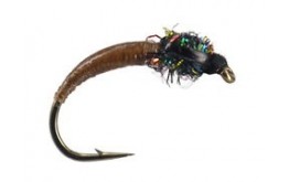 Brown Peacock Buzzer