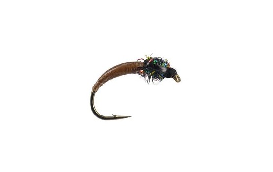 Brown Peacock Buzzer