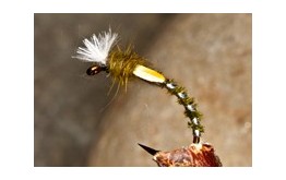 Buzzer Pheasant Tail Olive