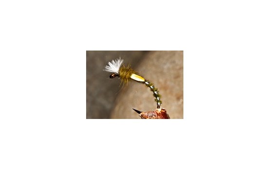 Buzzer Pheasant Tail Olive