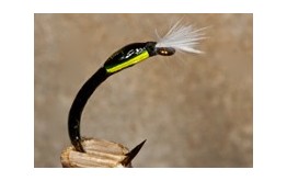 Buzzer Quill Black