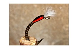 Buzzer Quill Natural