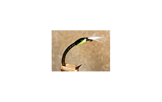 Buzzer Quill Olive