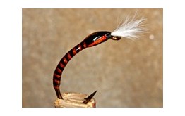 Buzzer Quill Orange