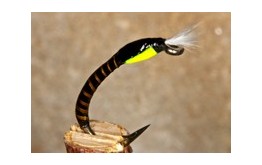 Buzzer Quill Yellow
