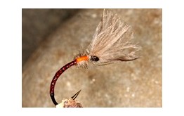 Buzzer Shuttlecock Claret