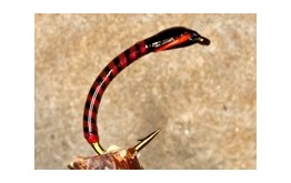 Buzzer Spanflex Red Black