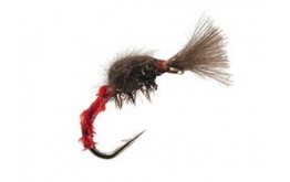 CDC Mini Red Ribbed Peacock Suspender