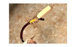 Buzzer Sugar Cube Claret