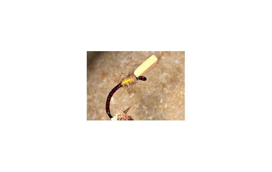 Buzzer Sugar Cube Claret