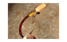 Buzzer Sugar Cube Orange