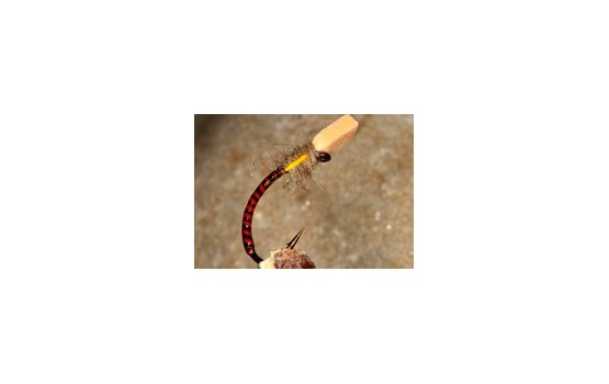 Buzzer Sugar Cube Orange