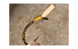 Buzzer Sugar Cube Yellow