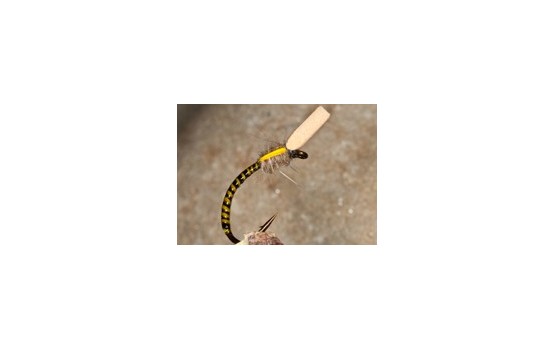 Buzzer Sugar Cube Yellow