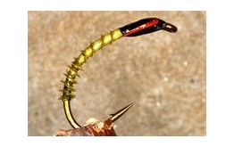 Buzzer Turkey Biot Olive