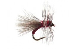 CDC Mini Red Trapper