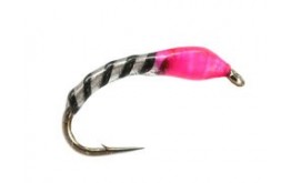 Crazy White Fluo Pink UV Buzzer