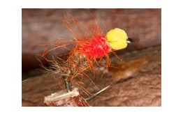 DaviesSuspenderBuzzer