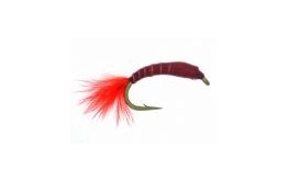 Epoxy Buzzer   Bloodworm