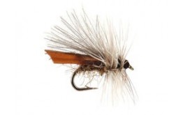CDC Natural Caddis