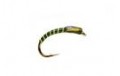 Flo Green Ribbed Olive Buzzer