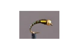 GH Epoxy Buzzer Olive