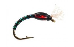 Ginos Black Green Holo Buzzer