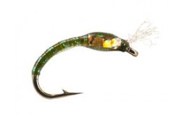 Ginos Olive Gold Holo Buzzer