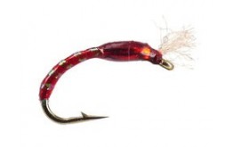 Ginos Red Gold Holo Buzzer