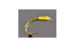 Green Stripped Quill Buzzer