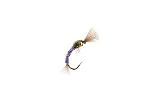 Hatching Buzzer Purple