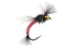 Hatching Buzzer Red Glass