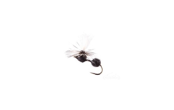 Ant Parachute Black