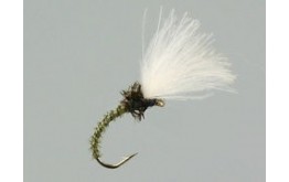 CDC Olive Peacock Classic Suspender