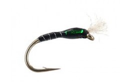 Highlander Buzzer Black Green