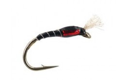 Highlander Buzzer Black Red